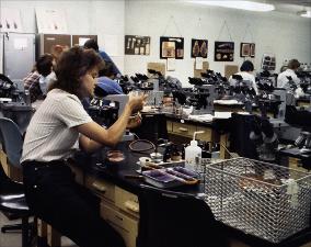 Students in a Lab   (click for a larger preview)