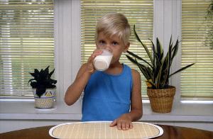 Boy Drinking Milk   (click for a larger preview)