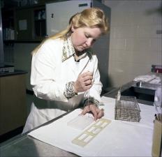 Woman Testing Samples, number 1   (click for a larger preview)