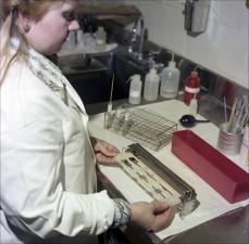 Woman Testing Samples, number 3   (click for a larger preview)
