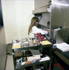 Woman Works with Samples Using a Protective Hood   (click for a larger preview)