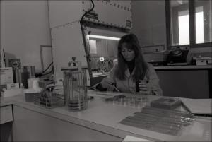 Woman Works at Diagnostic Laboratory, number 2   (click for a larger preview)