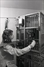 Lab Worker with Monkey in a Cage, number 3   (click for a larger preview)
