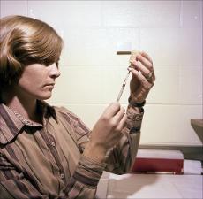 Woman Fills a Syringe with a Fluid, number 1   (click for a larger preview)