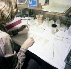 Woman Testing Samples, number 5   (click for a larger preview)
