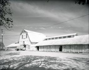 Fever Barn, number 6   (click for a larger preview)