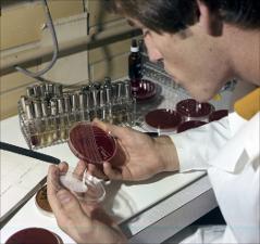 Man Checks Samples in a Petri Dish, number 6   (click for a larger preview)