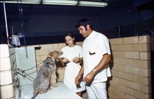 Two Clinic Staff with Canine   (click for a larger preview)