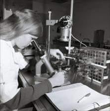 Woman Works in a Laboratory, number 2   (click for a larger preview)