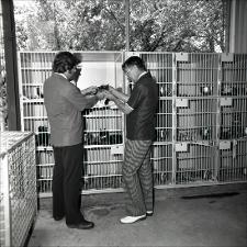 Austin Animal Shelter, number 02   (click for a larger preview)