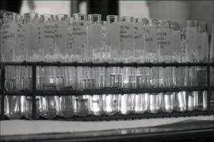 Laboratory Test Tubes, number 04   (click for a larger preview)
