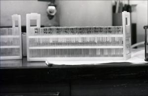 Laboratory Test Tubes, number 06   (click for a larger preview)