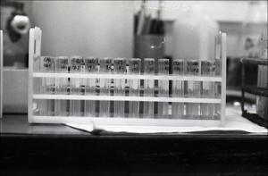 Laboratory Test Tubes, number 07   (click for a larger preview)