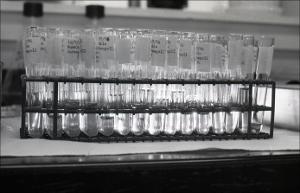 Laboratory Test Tubes, number 08   (click for a larger preview)