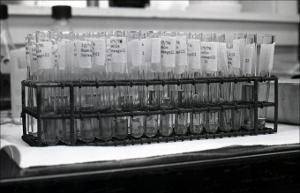 Laboratory Test Tubes, number 09   (click for a larger preview)