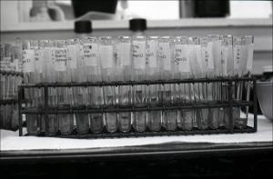 Laboratory Test Tubes, number 10   (click for a larger preview)