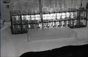Laboratory Test Tubes, number 15   (click for a larger preview)