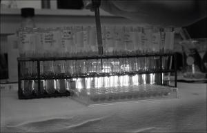 Laboratory Test Tubes, number 16   (click for a larger preview)