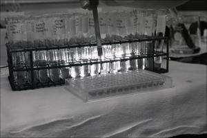 Laboratory Test Tubes, number 18   (click for a larger preview)