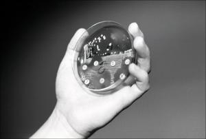 Petri Dish with Results, number 7   (click for a larger preview)