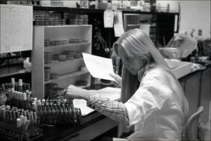 Woman in Lab Works with Test Tube Samples, number 2   (click for a larger preview)