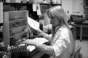 Woman in Lab Works with Test Tube Samples, number 3   (click for a larger preview)