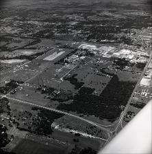 Aerial Images of Veterinary College and Surrounding Areas, number 02   (click for a larger preview)