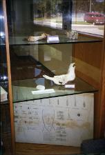 CVM History Exhibits, number 26   (click for a larger preview)