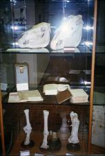 CVM History Exhibits, number 27   (click for a larger preview)