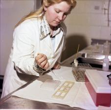 Woman Testing Samples, number 2   (click for a larger preview)