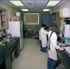 People Working in a Lab   (click for a larger preview)