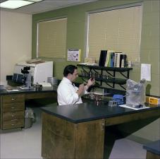 Man Checks Samples in a Petri Dish, number 2   (click for a larger preview)