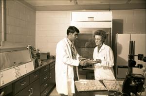 Man and Woman Work in a Research Lab, number 10   (click for a larger preview)