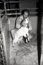 Man in an Animal Stall with a Goat, number 1   (click for a larger preview)