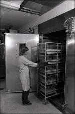 Lab Worker Pushes Rack Full of Cages, number 1   (click for a larger preview)