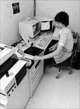 Employee Seated at Computer Work Station, number 1   (click for a larger preview)