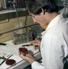 Man Checks Samples in a Petri Dish, number 5   (click for a larger preview)