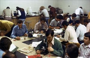 Students in a Lab Class   (click for a larger preview)