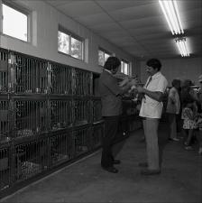 Austin Animal Shelter, number 05   (click for a larger preview)