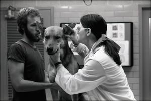 Canine Physical Examine, number 01   (click for a larger preview)