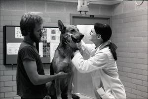 Canine Physical Examine, number 02   (click for a larger preview)