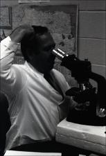 Man at Microscope, number 01   (click for a larger preview)