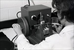 Laboratory Staff Prepares Microscope Slides, number 5   (click for a larger preview)