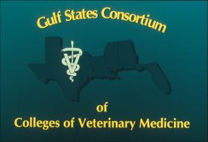 Gulf States Consortium, Veterinary Education Task Force Slides, number 01   (click for a larger preview)