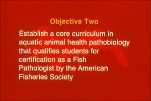Gulf States Consortium, Veterinary Education Task Force Slides, number 08   (click for a larger preview)