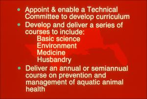 Gulf States Consortium, Veterinary Education Task Force Slides, number 09   (click for a larger preview)