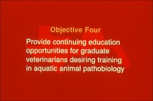 Gulf States Consortium, Veterinary Education Task Force Slides, number 13   (click for a larger preview)