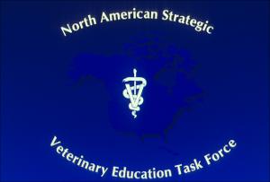 Gulf States Consortium, Veterinary Education Task Force Slides, number 16   (click for a larger preview)