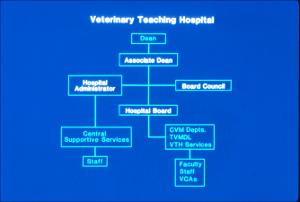 Veterinary Education Presentation Slides, number 059   (click for a larger preview)