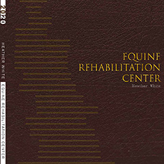 Equine Rehabilitation Center   (click for a larger preview)